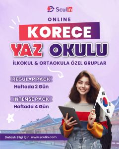 Online Korece Yaz Okulu - Regular Pack - 16 Canlı Ders